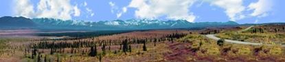 Picture of Alaskan denali national park right