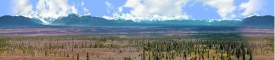 Picture of Alaskan denali national park repeatable