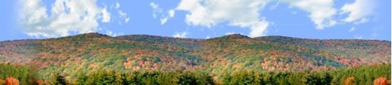 Picture of Autumn landscape in allegheny state park center repeatable