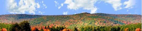 Picture of Autumn landscape in allegheny state park left repeatable