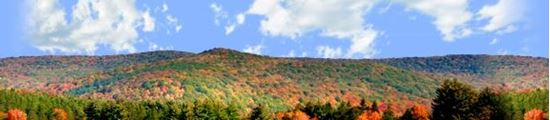Picture of Autumn landscape in allegheny state park right repeatable