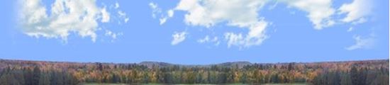 Picture of Autumn treeline in wisconsin repeatable