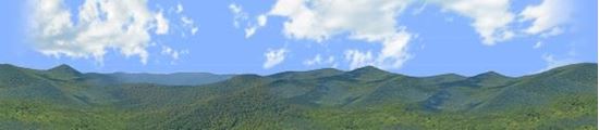 Picture of Blueridge mountain 4 right repeatable