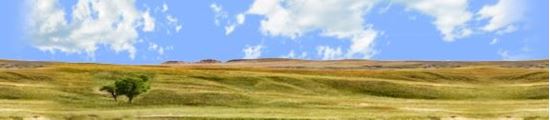 Picture of Buffalo gap national grasslands south dakota left repeatable