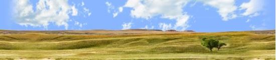 Picture of Buffalo gap national grasslands south dakota right repeatable